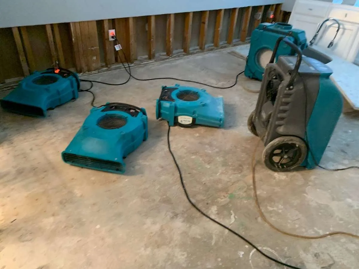 Water Damage Restoration services in Mabank, TX